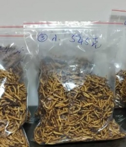 &#30343;&#20896;